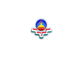 Sun College Of Engineering And Technology Logo